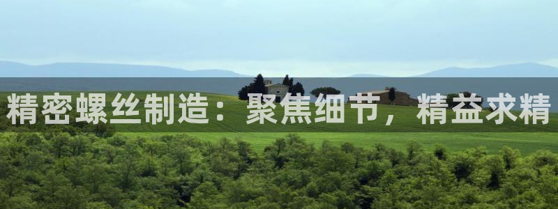 新版彩神v8登录不了：精密螺丝制造：聚焦细节，精益求精