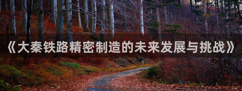 彩神ⅴll是什么样平台：《大秦铁路精密制造的未来发展与挑战》