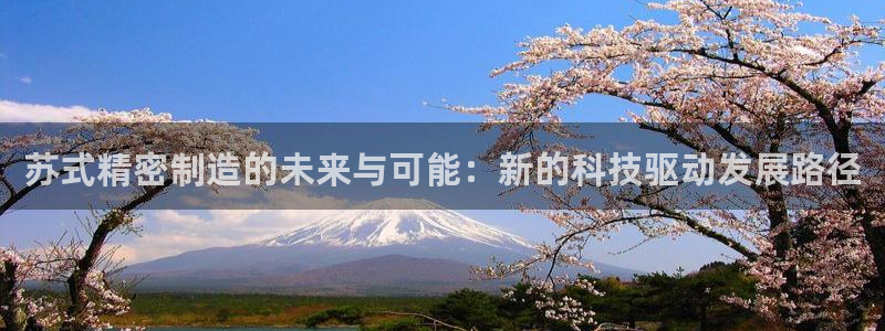 下载彩神乐发V1：苏式精密制造的未来与可能：新的科技驱动发展路径