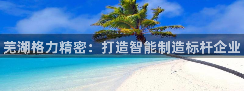 彩神趣购彩用户注册：芜湖格力精密：打造智能制造标杆企业