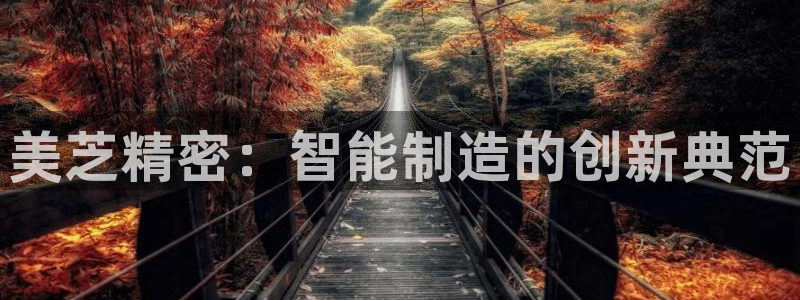 有谁知道彩神争霸的网址：美芝精密：智能制造的创新典范