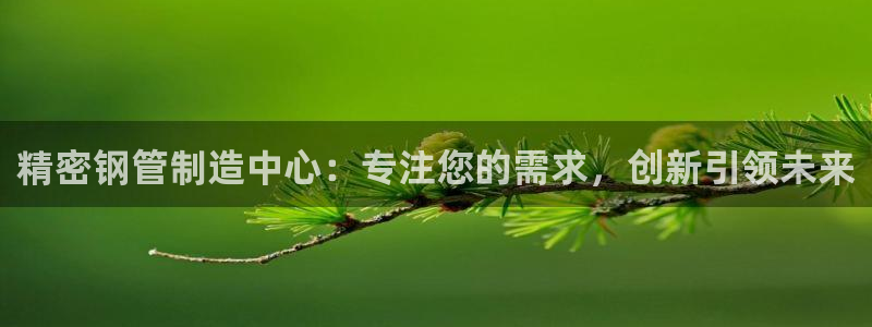 彩神vlll游戏特色：精密钢管制造中心：专注您的需求，创新引领未来