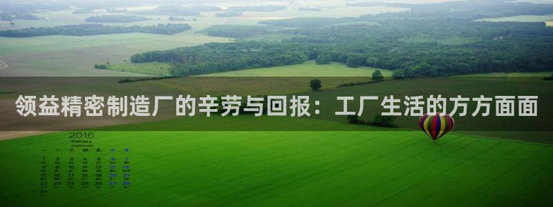彩神8官网500：领益精密制造厂的辛劳与回报：工厂生活的方方面面