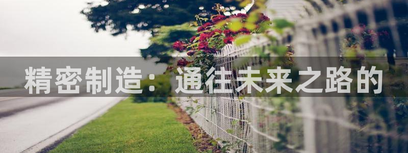 下载彩神v8：精密制造：通往未来之路的