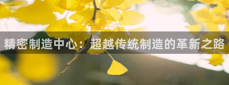 彩神vlll游戏特色：精密制造中心：超越传统制造的革新之路