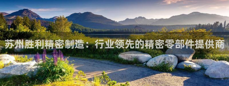 彩神v破解版：苏州胜利精密制造：行业领先的精密零部件提供商