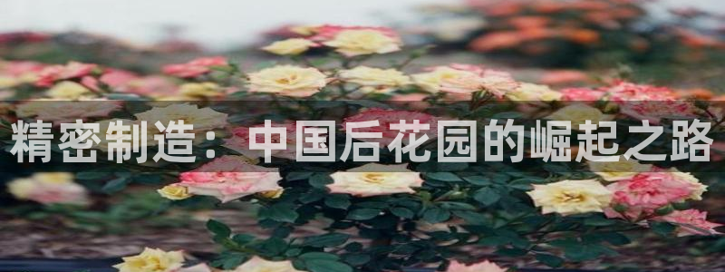 彩神v1破解器：精密制造：中国后花园的崛起之路