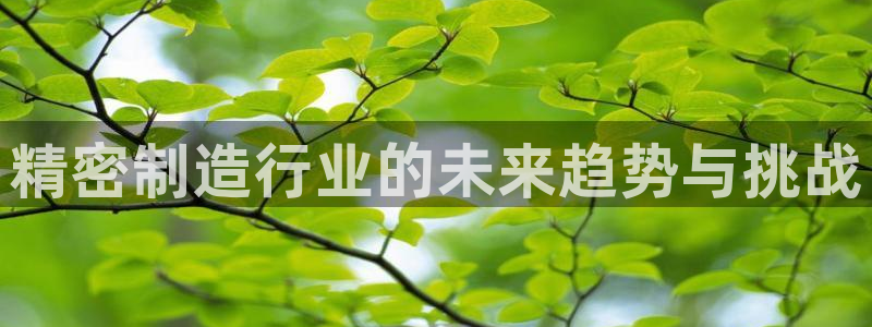 彩神V集团公司：精密制造行业的未来趋势与挑战