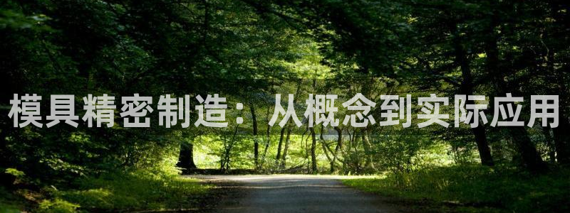 彩神8app官方下载：模具精密制造：从概念到实际应用