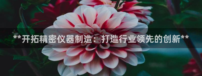 彩神v|：**开拓精密仪器制造：打造行业领先的创新**