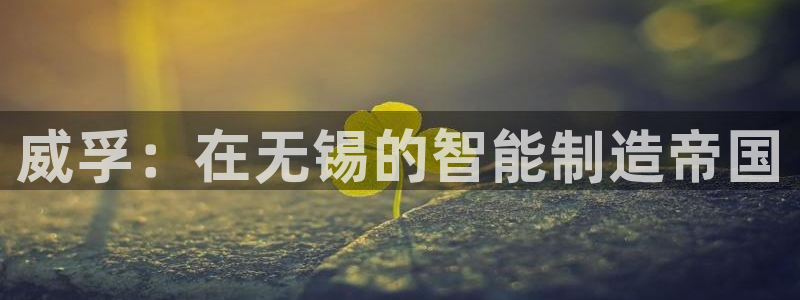 彩神v8是真的挣钱吗：威孚：在无锡的智能制造帝国