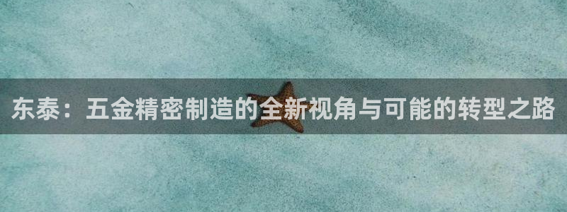 彩神v下载安装：东泰：五金精密制造的全新视角与可能的转型之路