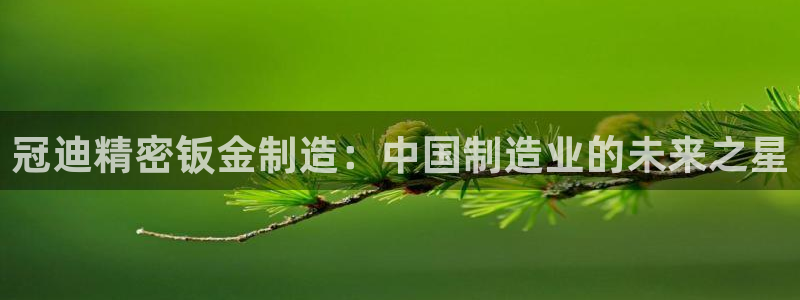 彩神购彩-购彩大厅入口老版：冠迪精密钣金制造：中国制造业的未来之星