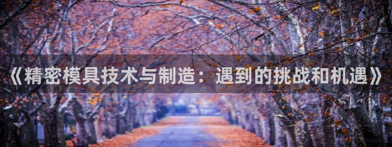 彩神iv是正规平台吗?：《精密模具技术与制造：遇到的挑战和机遇》