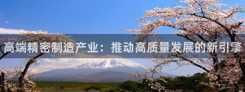 彩神大发官网：高端精密制造产业：推动高质量发展的新引擎