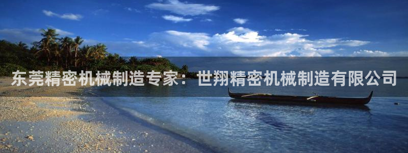 彩神平台能提现吗：东莞精密机械制造专家：世翔精密机械制造有限公司