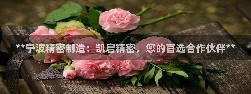 彩神vll官网-最新版app下载：**宁波精密制造：凯启精密，您的首选合作伙伴**