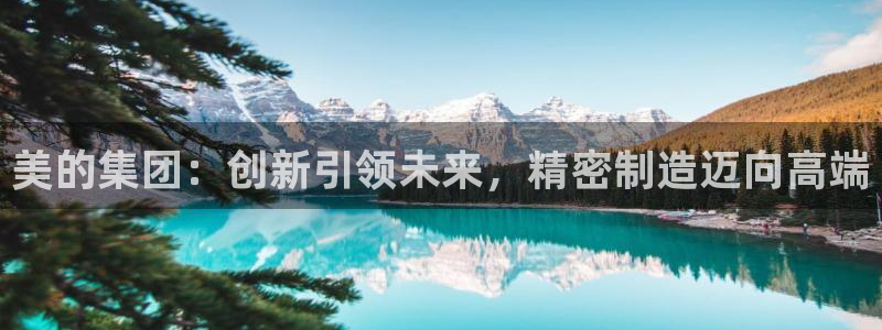 彩神v8客户端：美的集团：创新引领未来，精密制造迈向高端