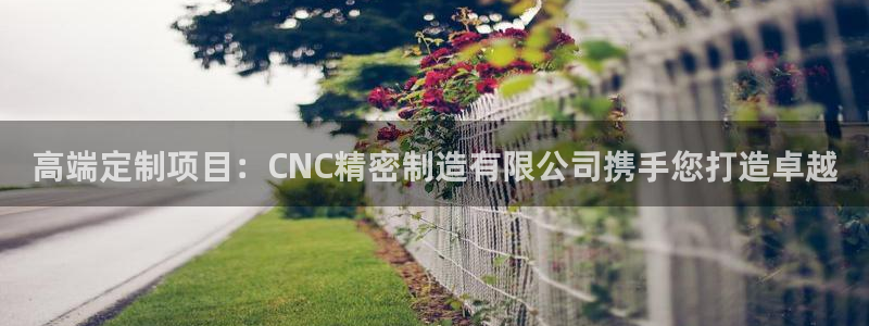 彩神购彩-购彩大厅入口下载：高端定制项目：CNC精密制造有限公司携手您打造卓越