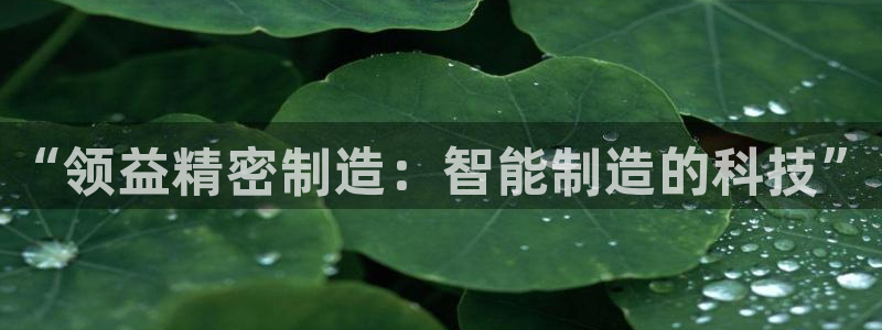 彩神v8平台正规吗：“领益精密制造：智能制造的科技”