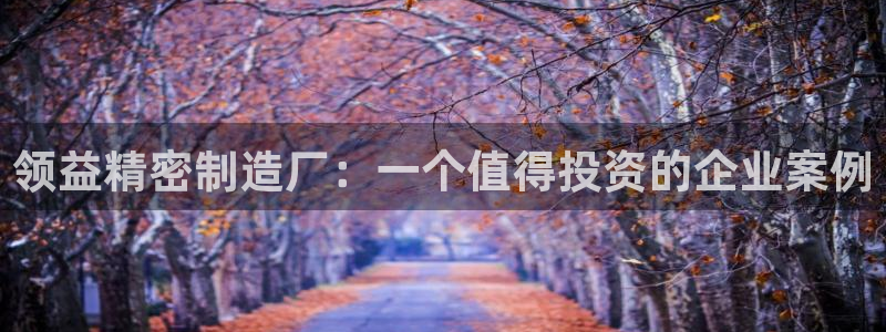彩神v破解版：领益精密制造厂：一个值得投资的企业案例