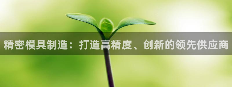 新版彩神v8登录教程：精密模具制造：打造高精度、创新的领先供应商