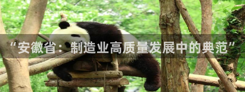 彩神网正规吗：“安徽省：制造业高质量发展中的典范”