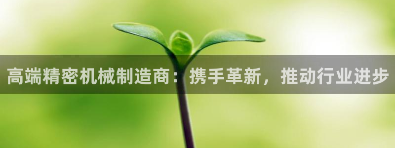 彩神网官网登录：高端精密机械制造商：携手革新，推动行业进步
