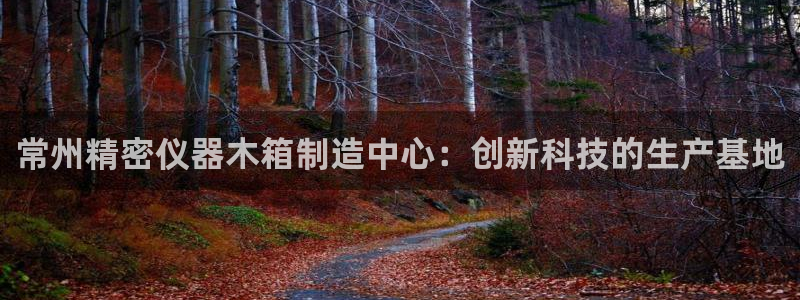 彩神v1官网：常州精密仪器木箱制造中心：创新科技的生产基地