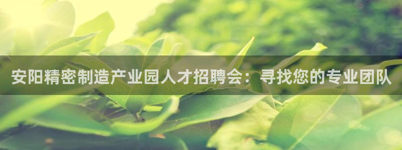 彩神购彩-购彩大厅入口老版：安阳精密制造产业园人才招聘会：寻找您的专业团队