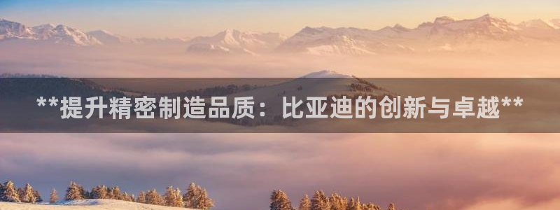 彩神vlll官方网：**提升精密制造品质：比亚迪的创新与卓越**