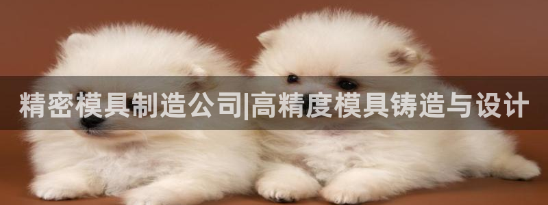 彩神用户登录：精密模具制造公司|高精度模具铸造与设计
