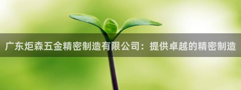 彩神8购彩-购彩大厅：广东炬森五金精密制造有限公司：提供卓越的精密制造