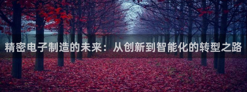 所有彩神购买首页都一样吗：精密电子制造的未来：从创新到智能化的转型之路