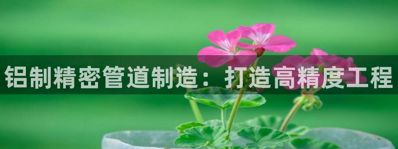 彩神购彩购彩大厅入口v：铝制精密管道制造：打造高精度工程