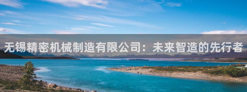 彩神ix能赚钱吗：无锡精密机械制造有限公司：未来智造的先行者