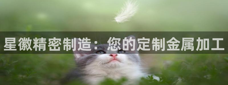 彩神v天天：星徽精密制造：您的定制金属加工