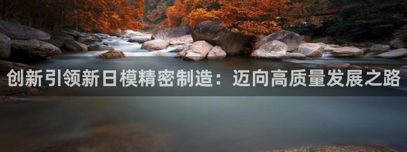 彩神vip购彩大厅在哪：创新引领新日模精密制造：迈向高质量发展之路