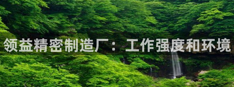彩神iv能赚钱吗：领益精密制造厂：工作强度和环境