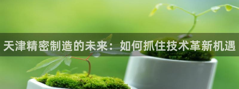 彩神是真的吗：天津精密制造的未来：如何抓住技术革新机遇