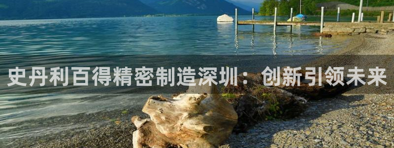 彩神V8有限公司：史丹利百得精密制造深圳：创新引领未来